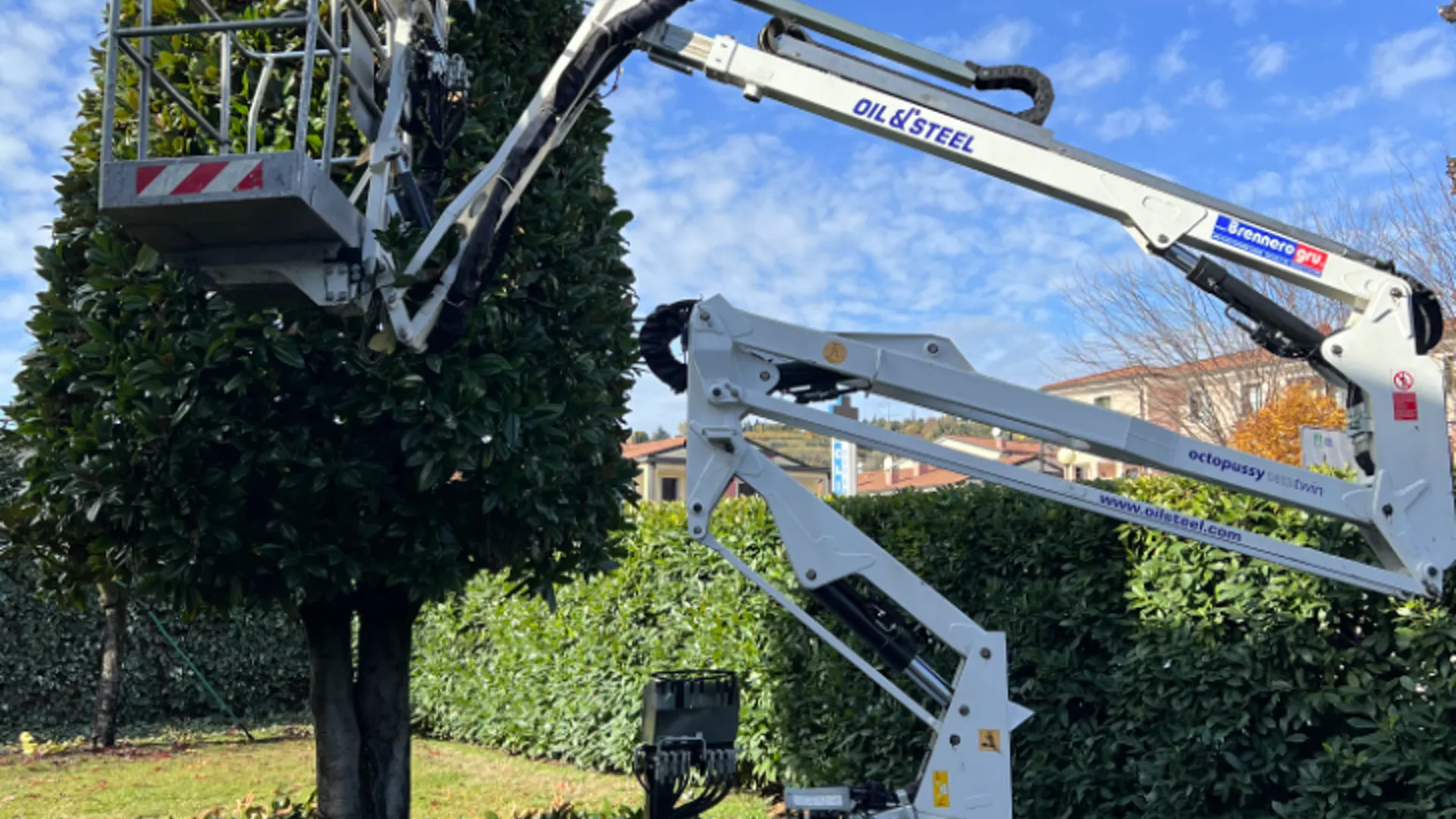 Manutenzione parchi e giardini